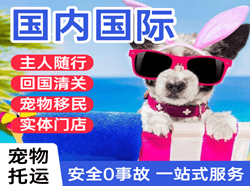 东阳横店航空邮寄国际宠物托运 【国